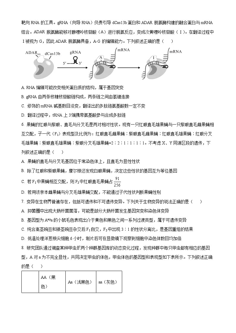 2024芜湖师大附中高三下学期二模生物试题含解析03
