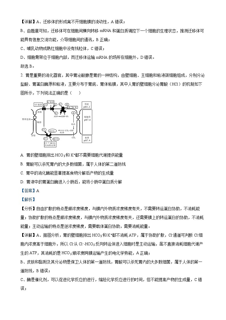 2024芜湖师大附中高三下学期二模生物试题含解析02