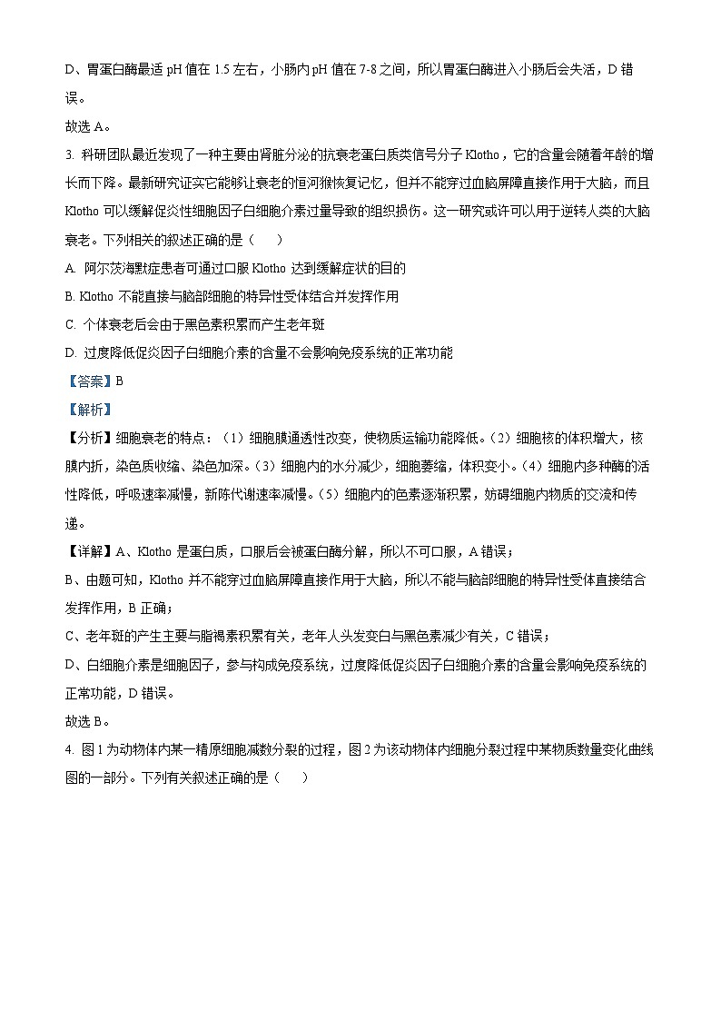 2024芜湖师大附中高三下学期二模生物试题含解析03