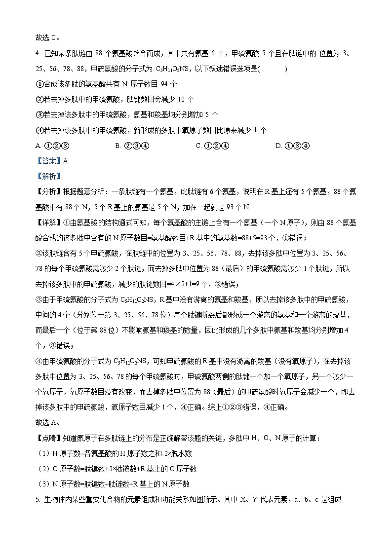 安徽省安庆市桐城中学2023-2024学年高一下学期开学检测生物试题含解析第3页