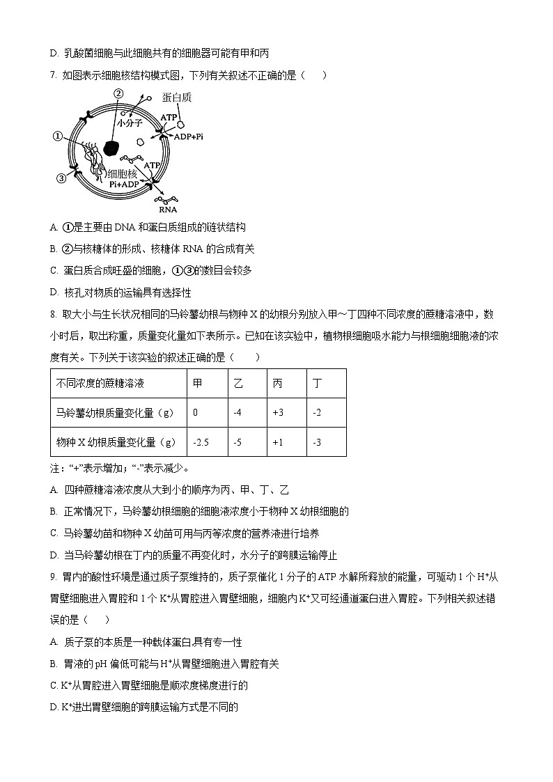 安徽省安庆市桐城中学2023-2024学年高一下学期开学检测生物试题无答案第3页