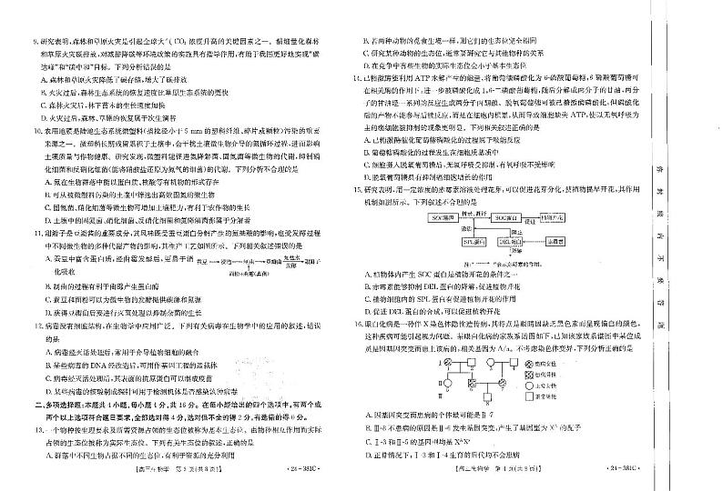 高三生物试卷第2页