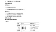 高中人教版 (2019)二 受精作用导学案