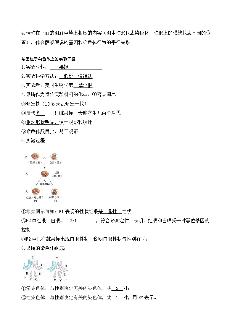 2.2基因在染色体上学案第2页