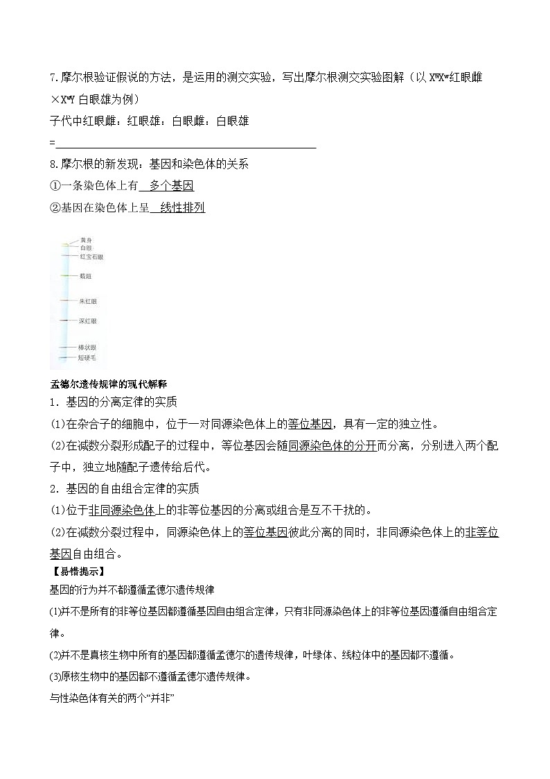 2.2基因在染色体上学案第3页