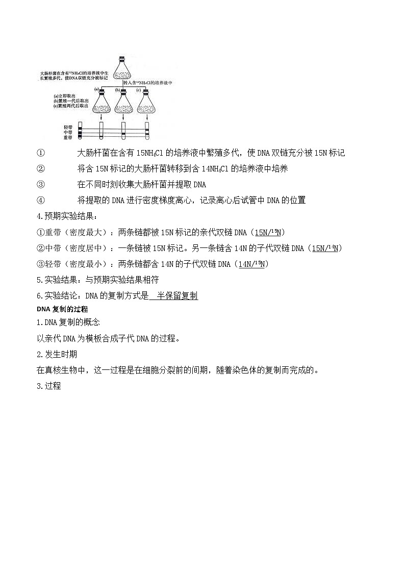 3.3DNA的复制学案第2页