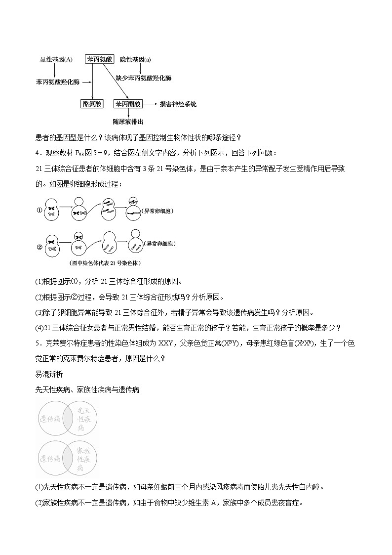 5.3人類遺傳病學(xué)案第3頁