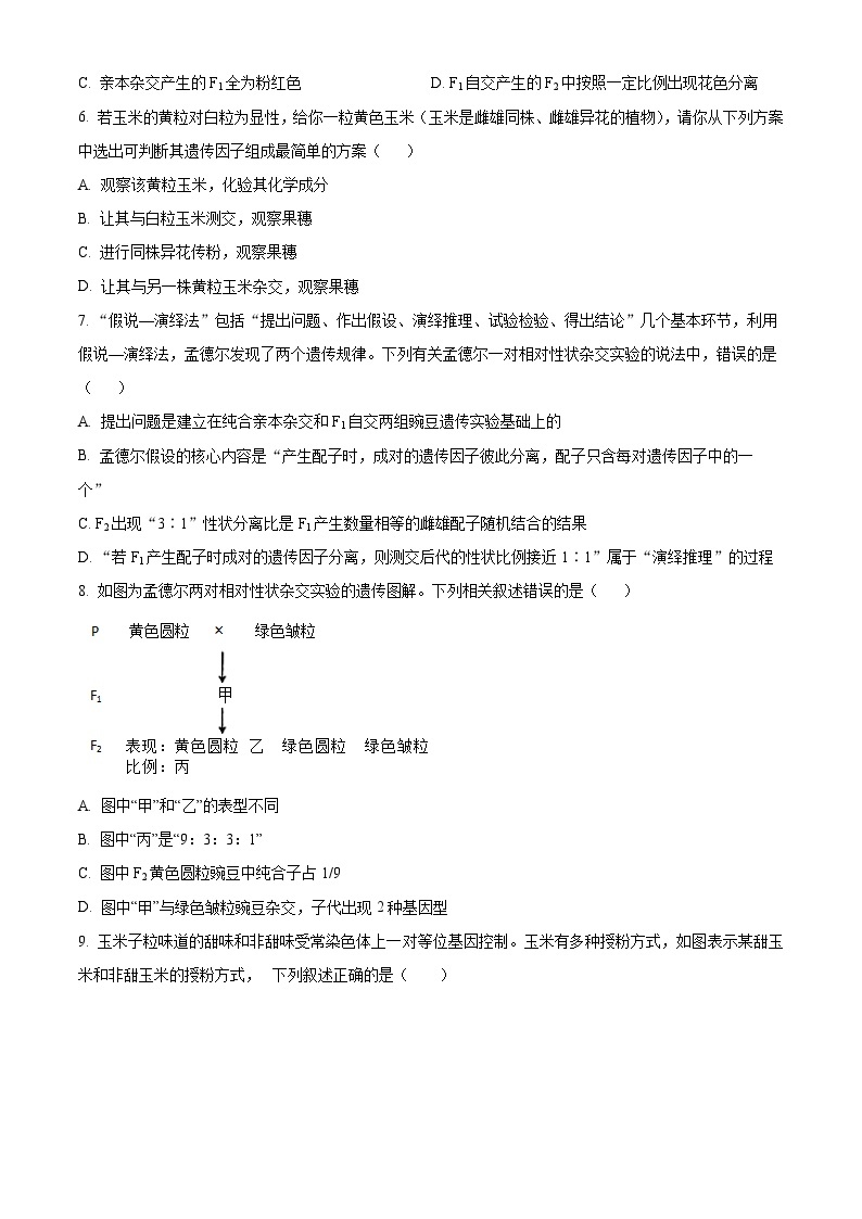 四川省南充市顺庆区南充高级中学2023-2024学年高一下学期3月月考生物试题（原卷版+解析版）02