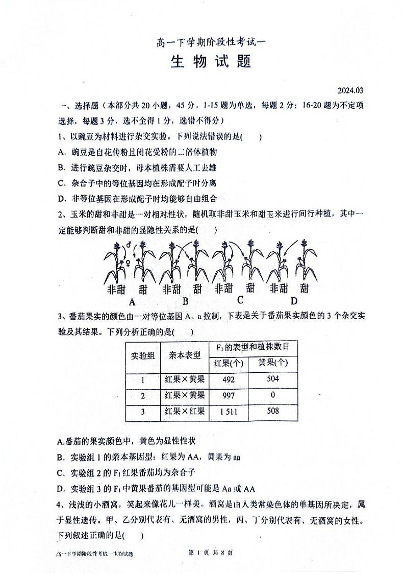 山东省泰安市宁阳县第一中学2023-2024学年高一下学期3月月考生物试题第1页