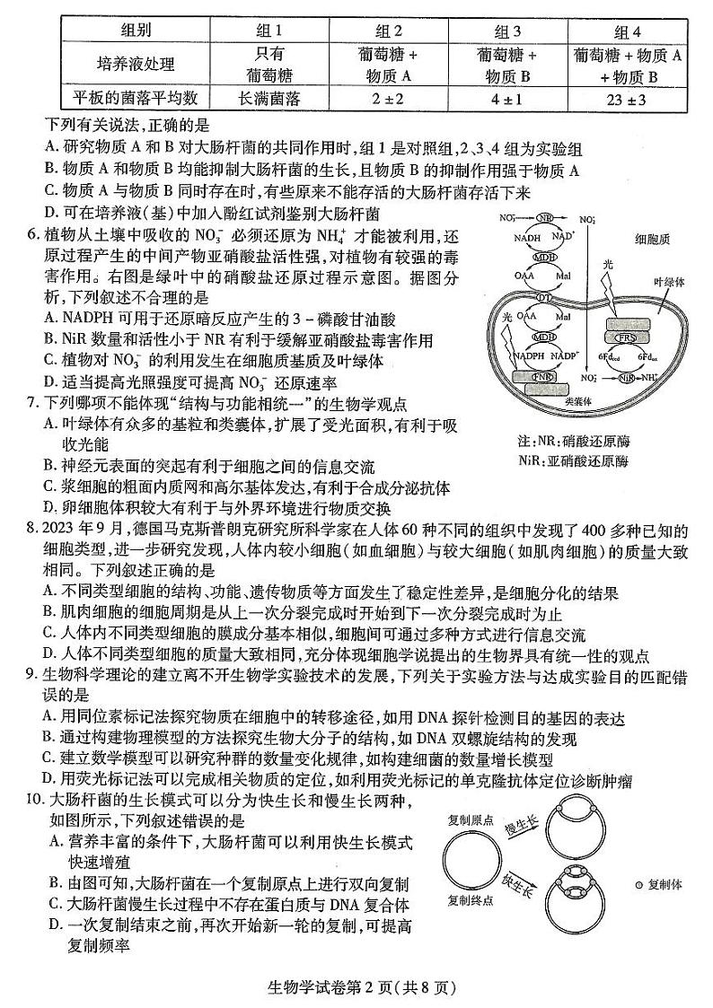 2024届东北三省三校高三下学期二模考试生物试题02