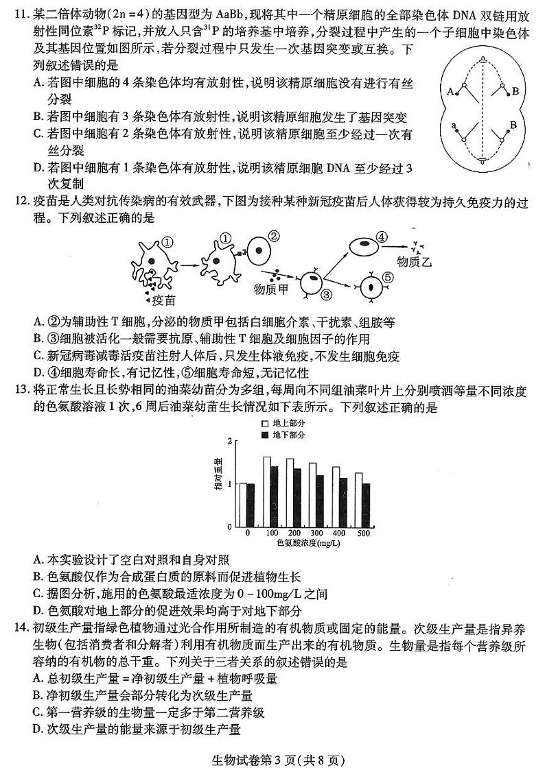 2024届东北三省三校高三下学期二模考试生物试题03