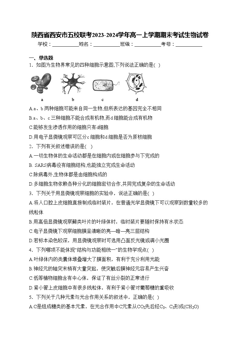 陕西省西安市五校联考2023-2024学年高一上学期期末考试生物试卷(含答案)第1页
