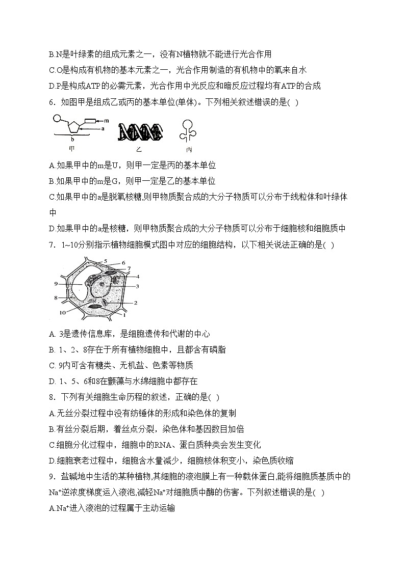 陕西省西安市五校联考2023-2024学年高一上学期期末考试生物试卷(含答案)第2页