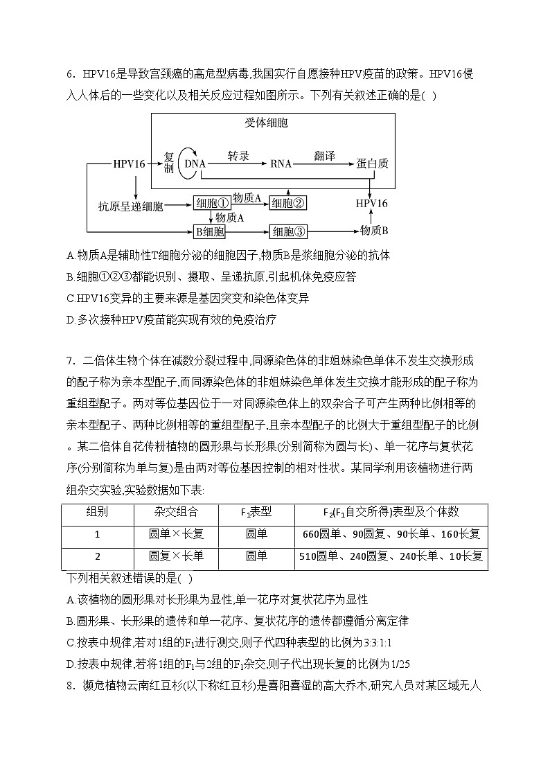 安徽省示范高中皖北协作区2024届高三第26届联考试卷(含答案)第3页