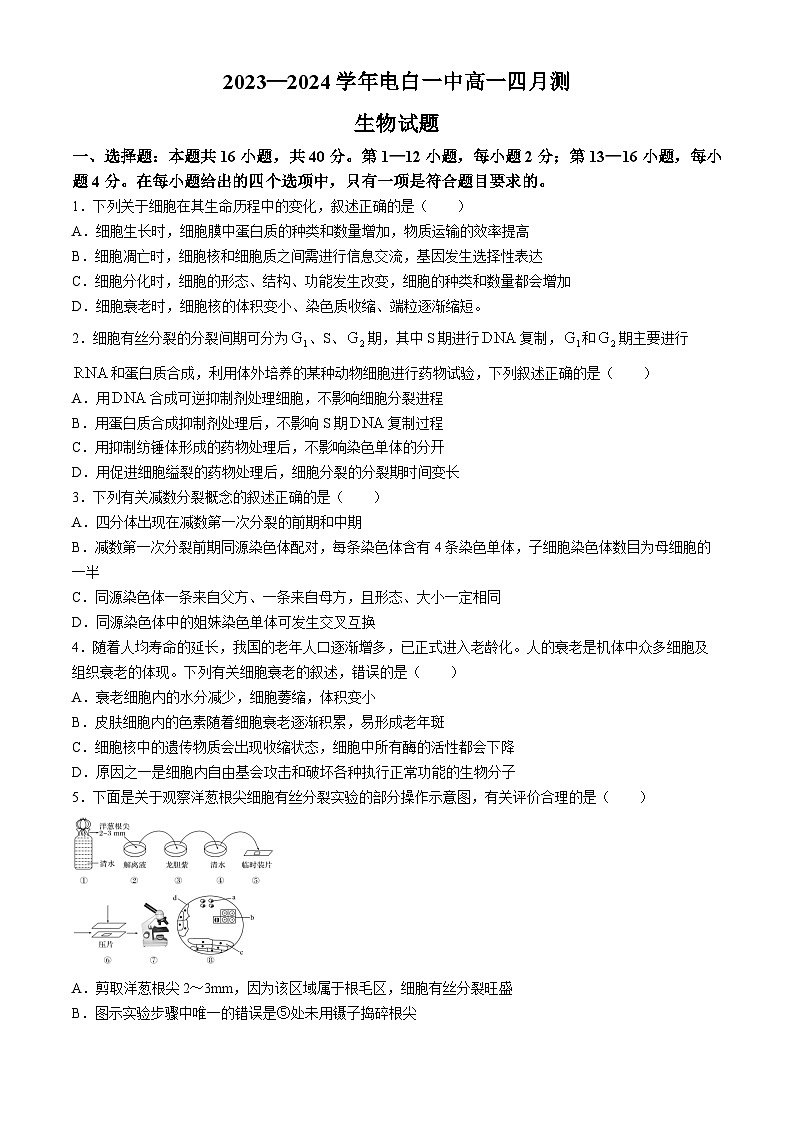 广东省茂名市电白区第一中学2023-2024学年高一下学期4月月考生物试题第1页