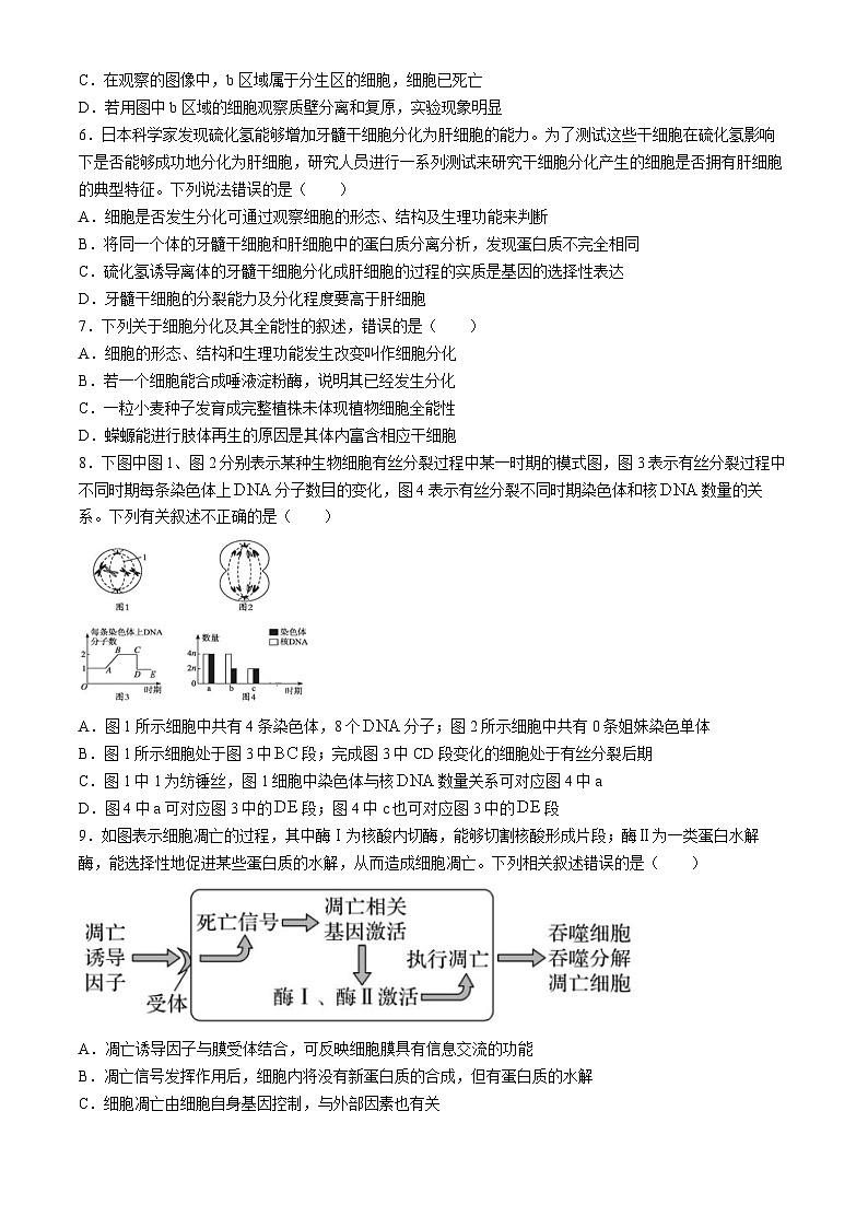 广东省茂名市电白区第一中学2023-2024学年高一下学期4月月考生物试题第2页