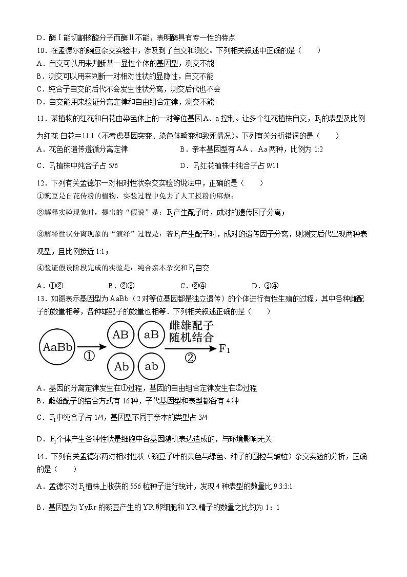 广东省茂名市电白区第一中学2023-2024学年高一下学期4月月考生物试题第3页