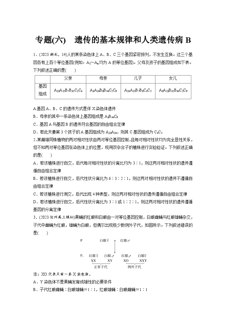 专题(六)　遗传的基本规律和人类遗传病B（含解析）-2024年高考生物二轮复习强化练