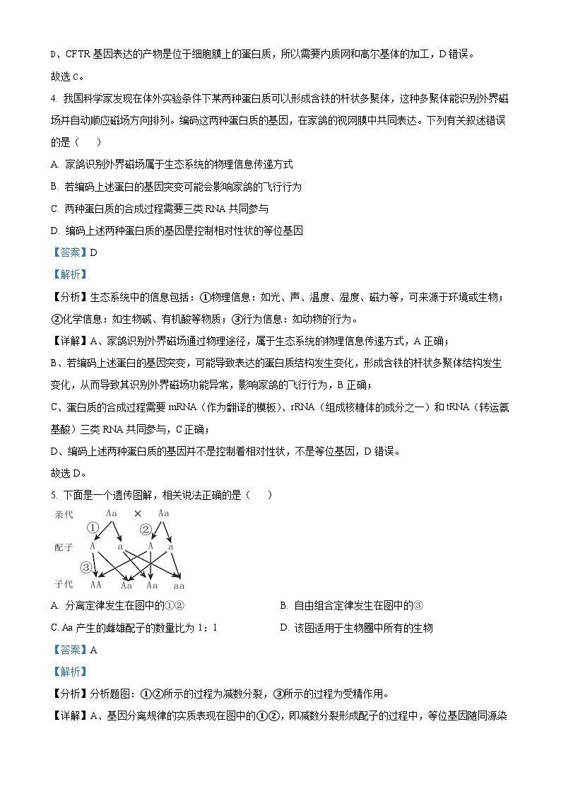 福建省漳州市华安县第一中学2023-2024学年高一下学期3月月考生物试题（原卷版+解析版）03