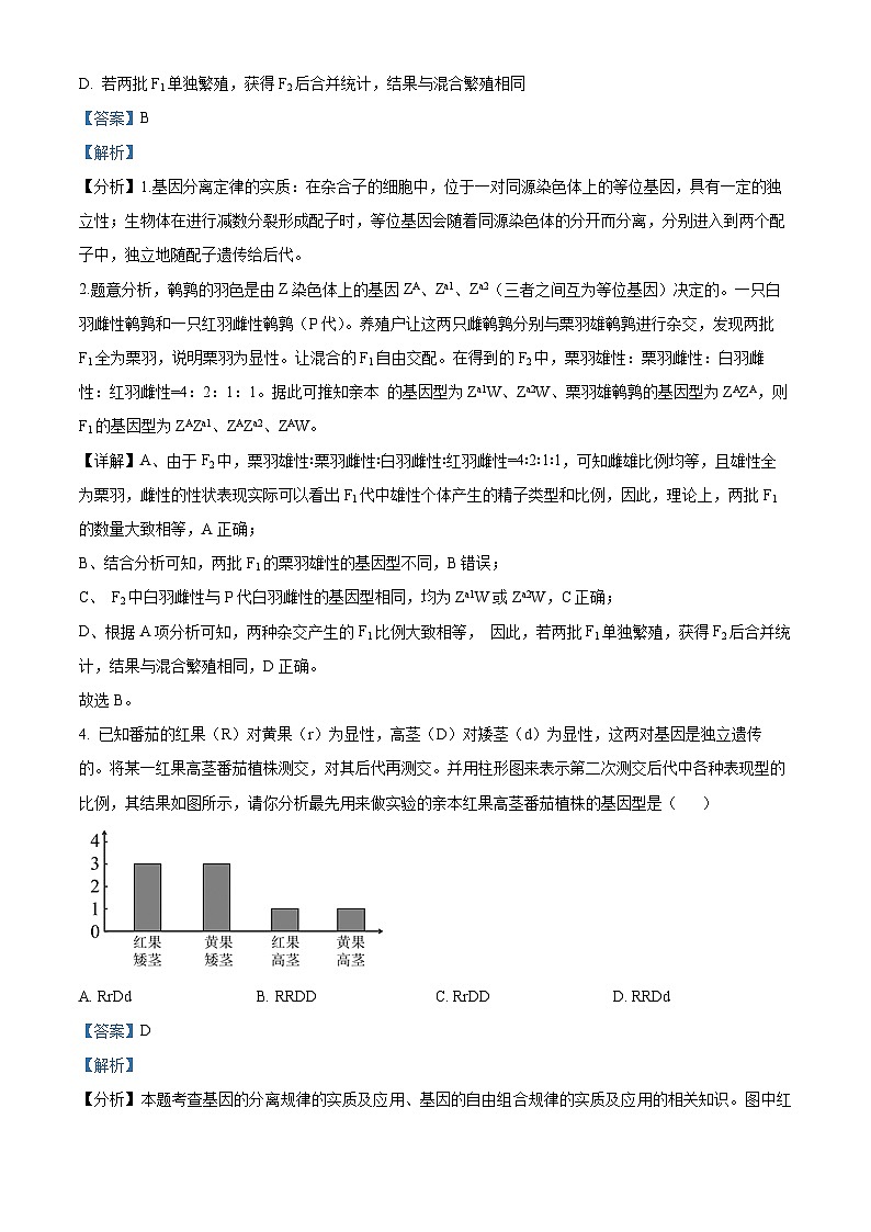 湖北省武汉市第十一中学2023—2024学年高一下学期3月考试生物试题(原卷版+解析版)03