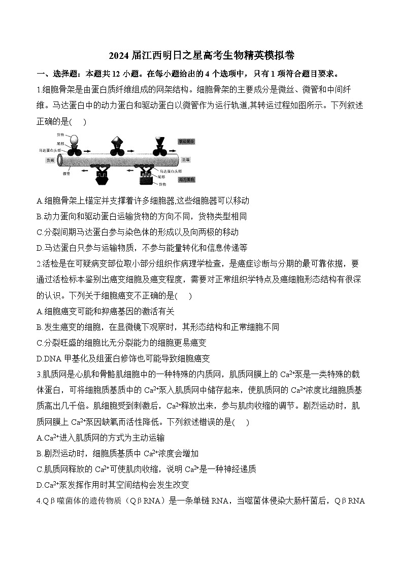 江西明日之星2024届高考生物精英模拟卷(Word版附答案)第1页