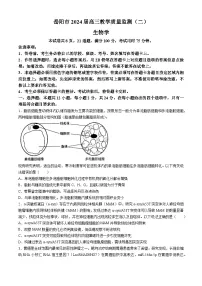 湖南省岳阳市2023-2024学年高三下学期二模生物试卷(Word版附答案)
