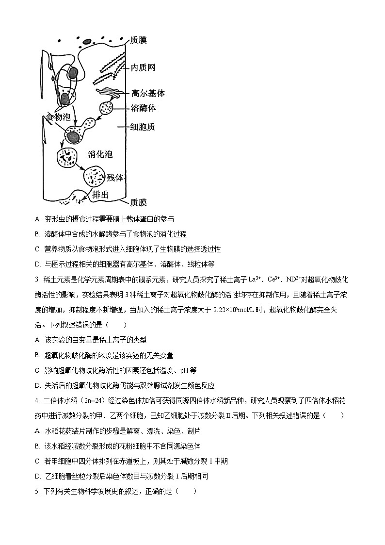 福建省泉州市、南平市2024届高三下学期质检联考试题(一模)生物 Word版含解析02