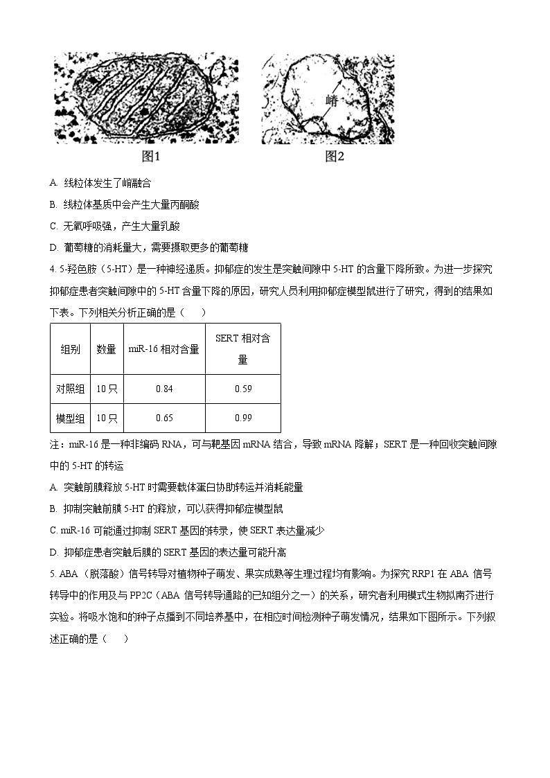 天津市河东区2024届高三下学期一模考试 生物 Word版含解析02