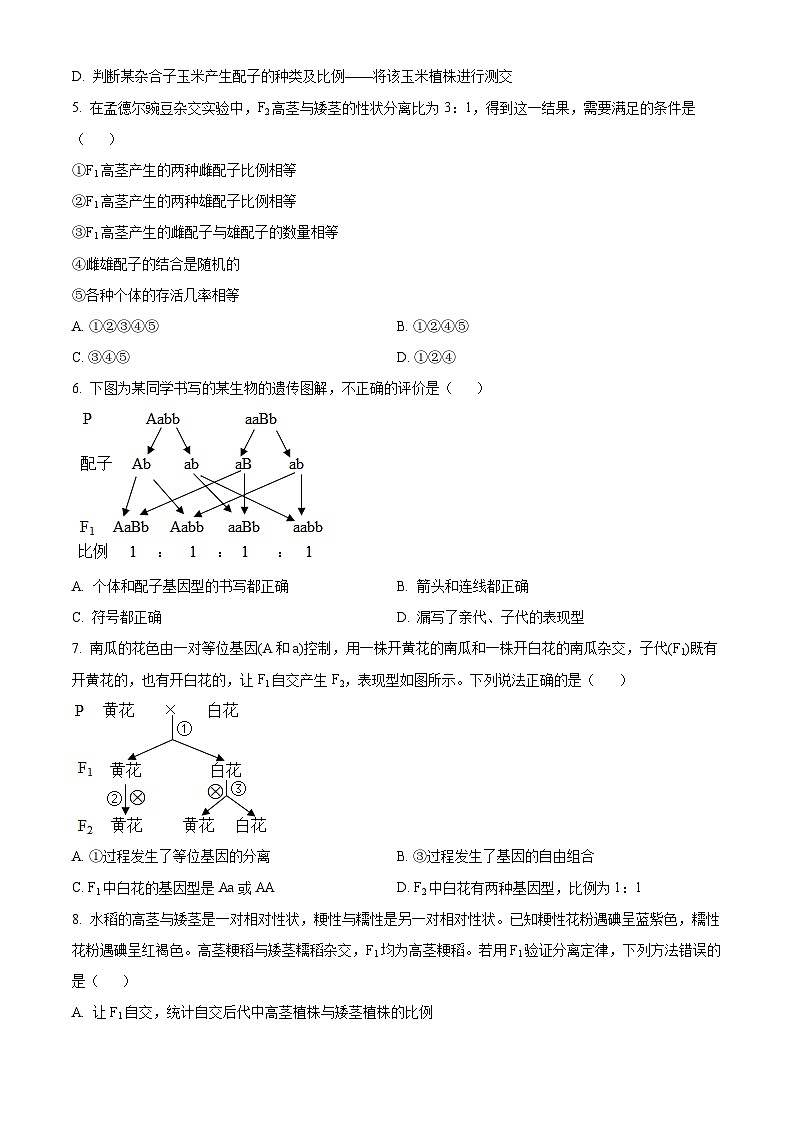 四川省凉山州民族中学2023-2024学年高一下学期3月月考生物试题(原卷版)第2页