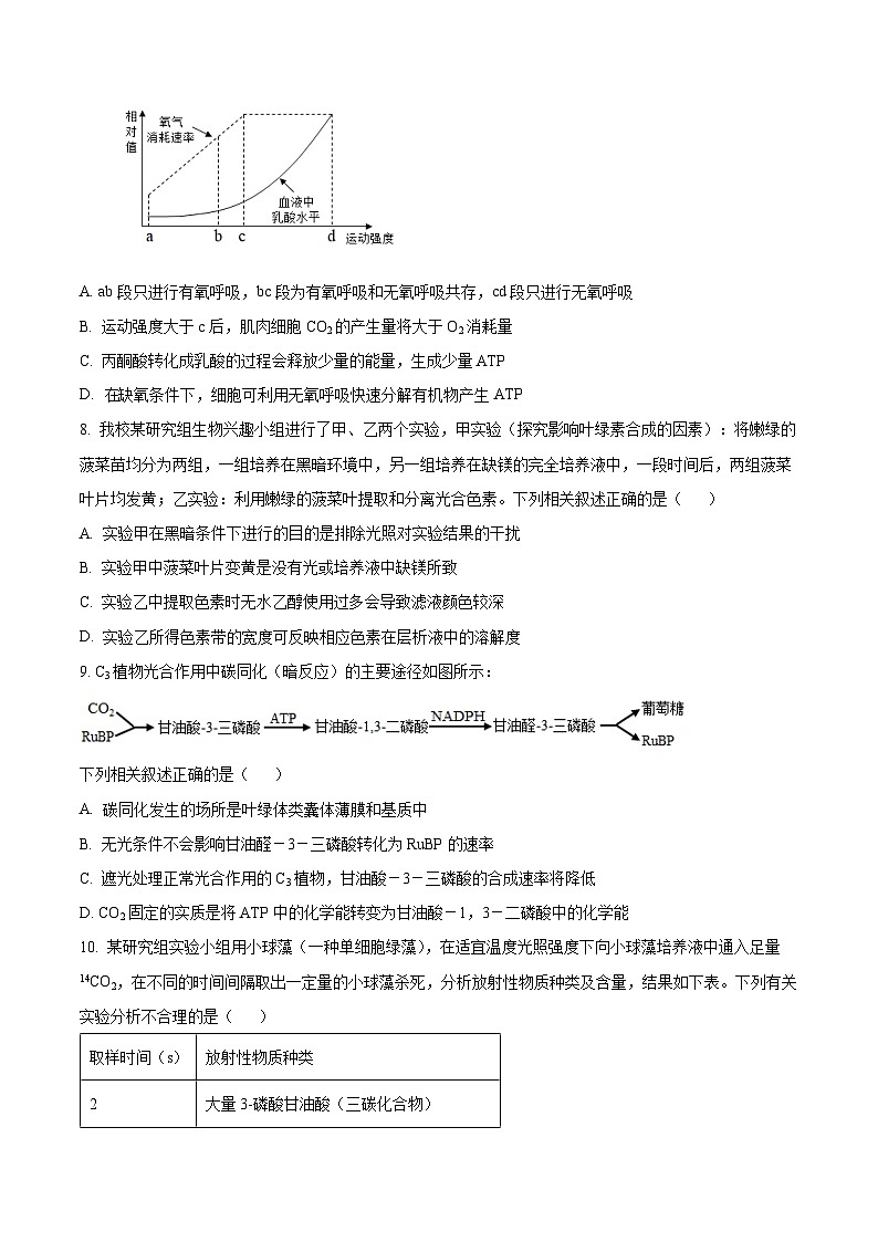 安徽省六安市叶集皖西当代中学2023-2024学年高一下学期3月月考生物试题(原卷版)第3页
