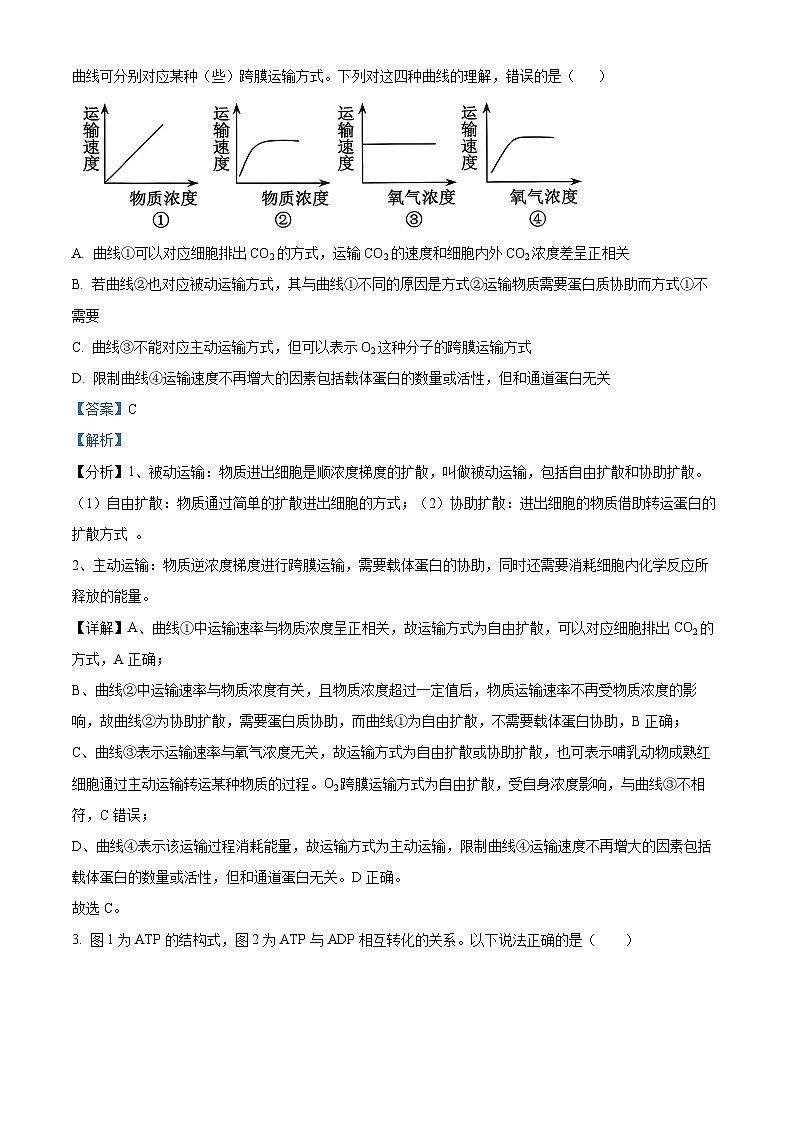 福建省莆田锦江中学2023-2024学年高一下学期3月月考生物试题(原卷版+解析版)02