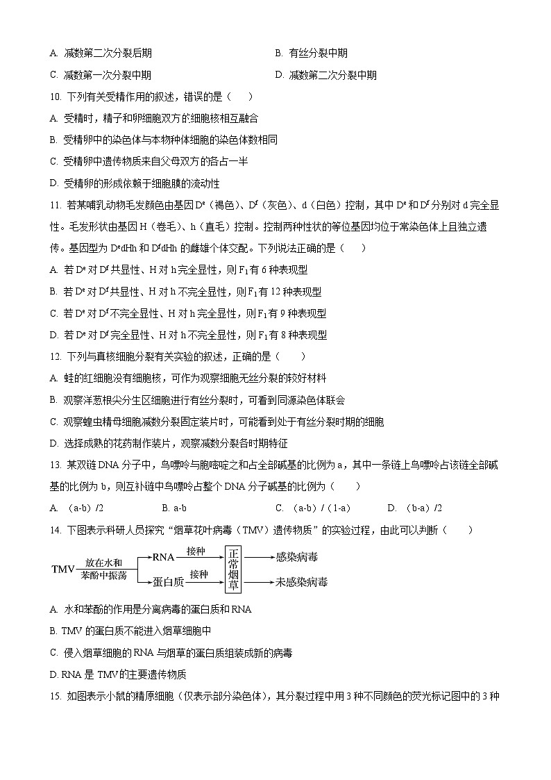 湖南省岳陽市岳陽縣第一中學(xué)2023-2024學(xué)年高一下學(xué)期3月月考生物試題（原卷版）第3頁