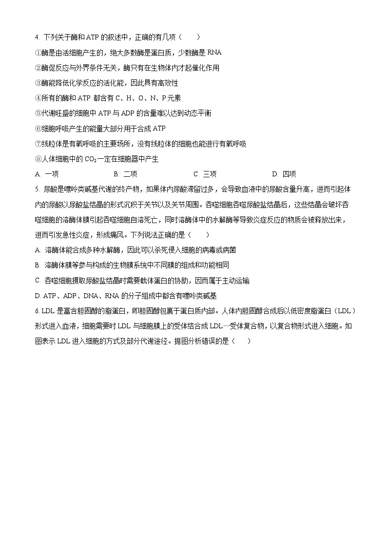 江西省宜春市丰城市江西省丰城中学2023-2024学年高一下学期3月月考生物试题（原卷版+解析版）02