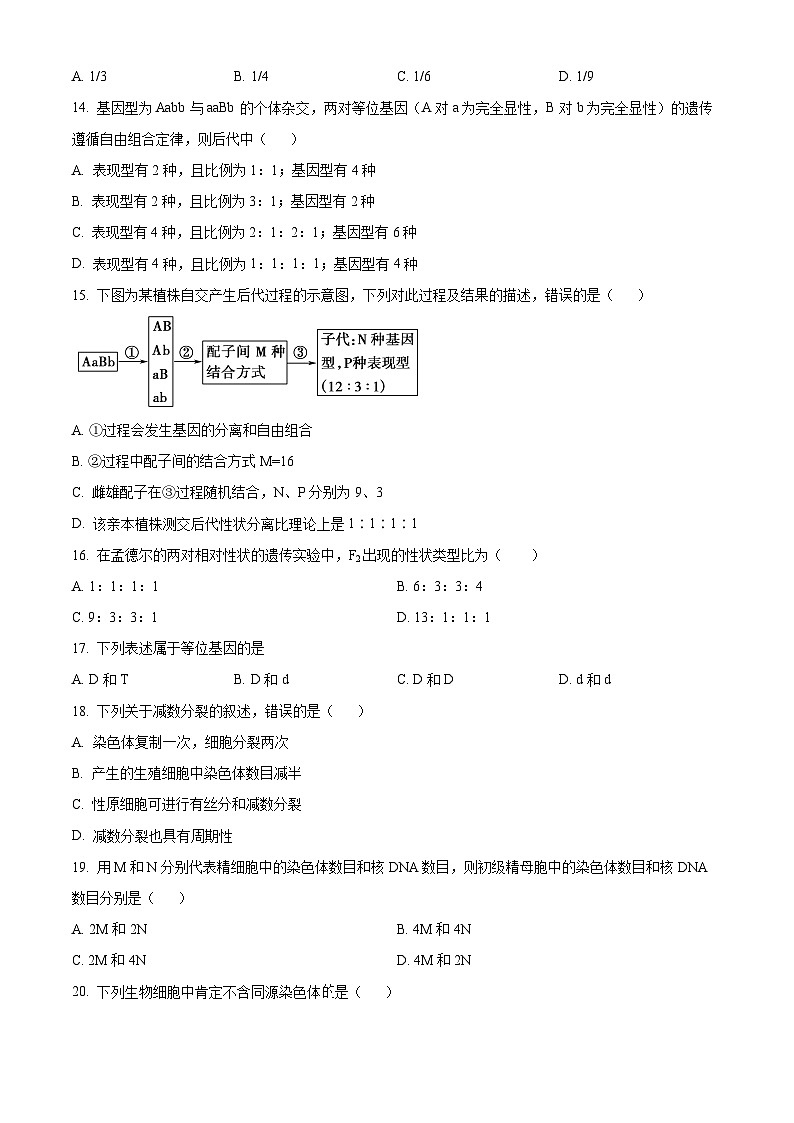 四川成都外国语学校2023-2024学年高一下学期3月月考生物试题(原卷版)第3页
