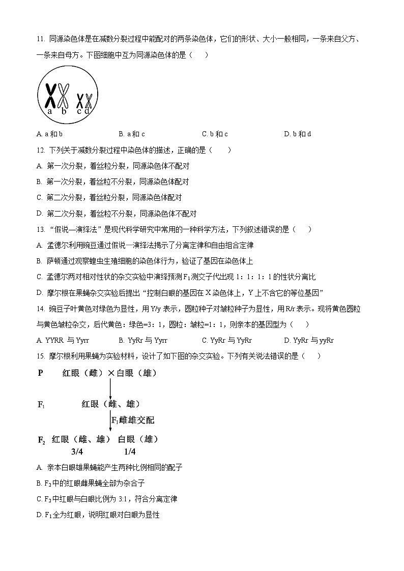山西省晋城市第二中学校2023-2024学年高一下学期4月月考生物试题(原卷版+解析版)03