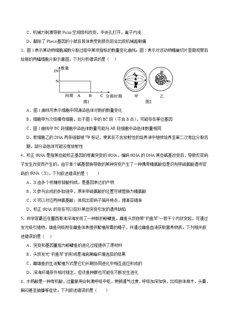 2024年1月“七省联考”考前高三上学期期末生物猜想卷（广西卷）02