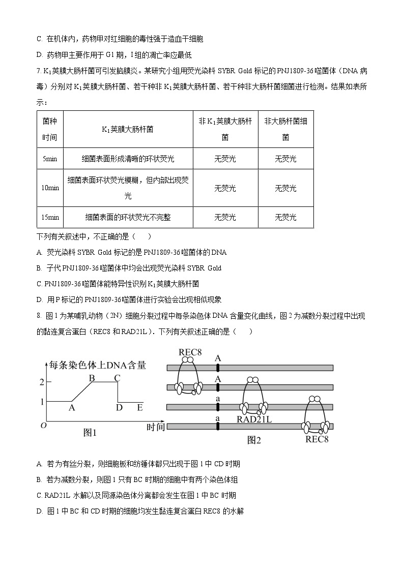 重庆市九龙坡区重庆市渝西中学2023-2024学年高三下学期3月月考生物试题（原卷版+解析版）03