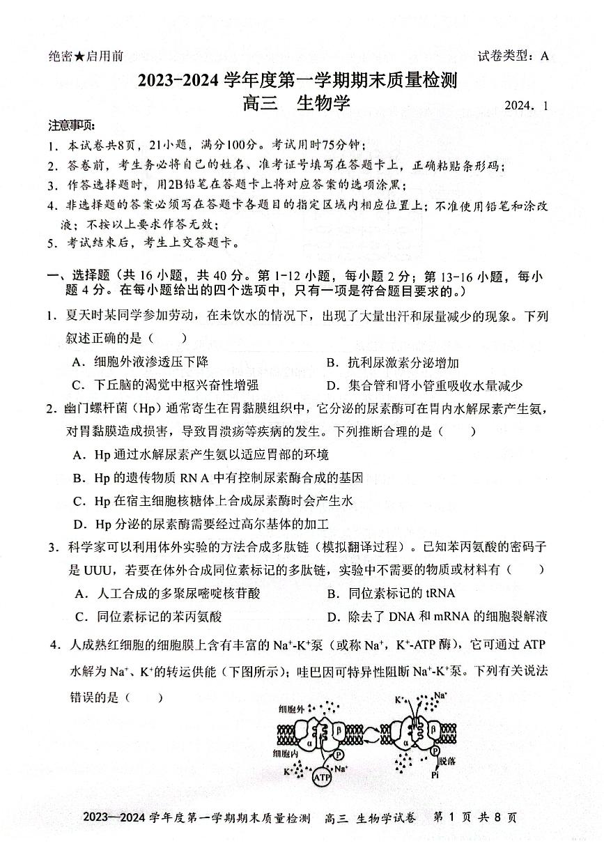 广东省深圳市罗湖区2023-2024学年高三上学期1月期末生物试题