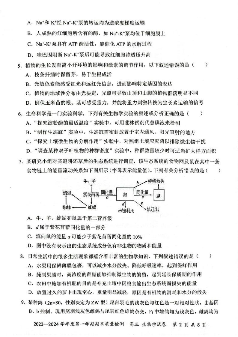 广东省深圳市罗湖区2023-2024学年高三上学期1月期末生物试题02