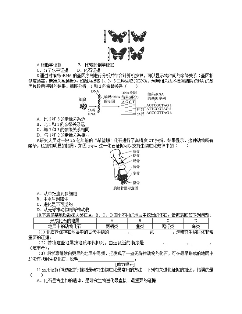 【分层作业】人教版高中生物必修二 6.1《生物有共同祖先的证据》(含答案解析)第2页