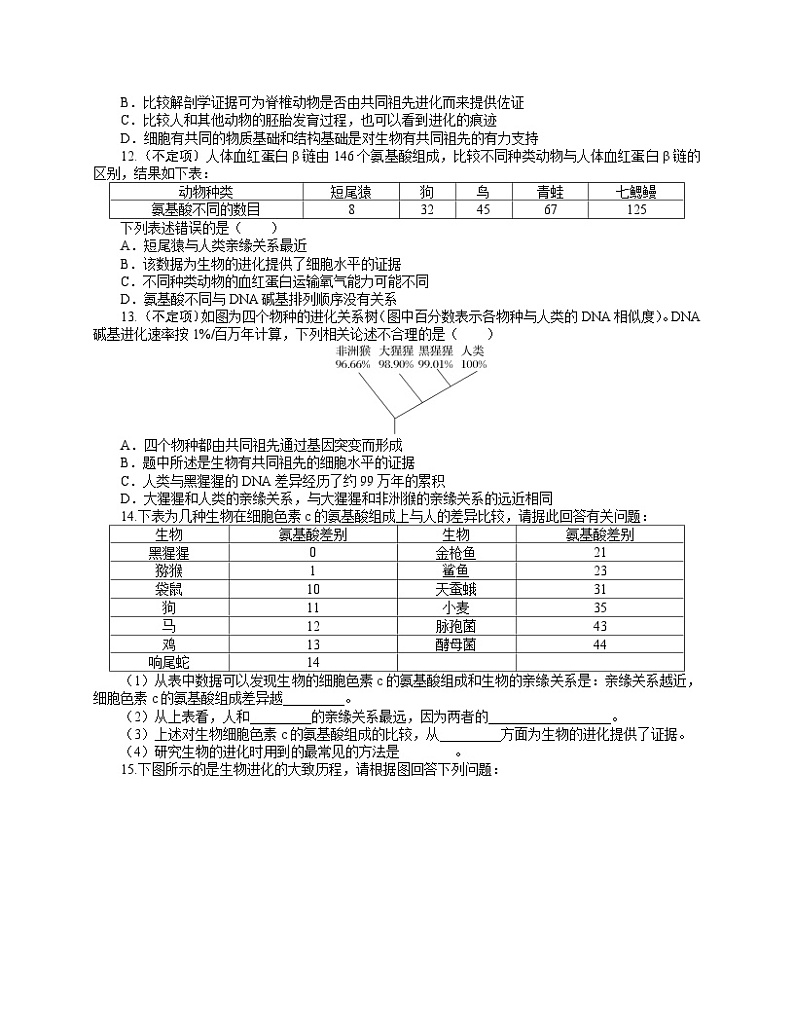 【分层作业】人教版高中生物必修二 6.1《生物有共同祖先的证据》(含答案解析)第3页