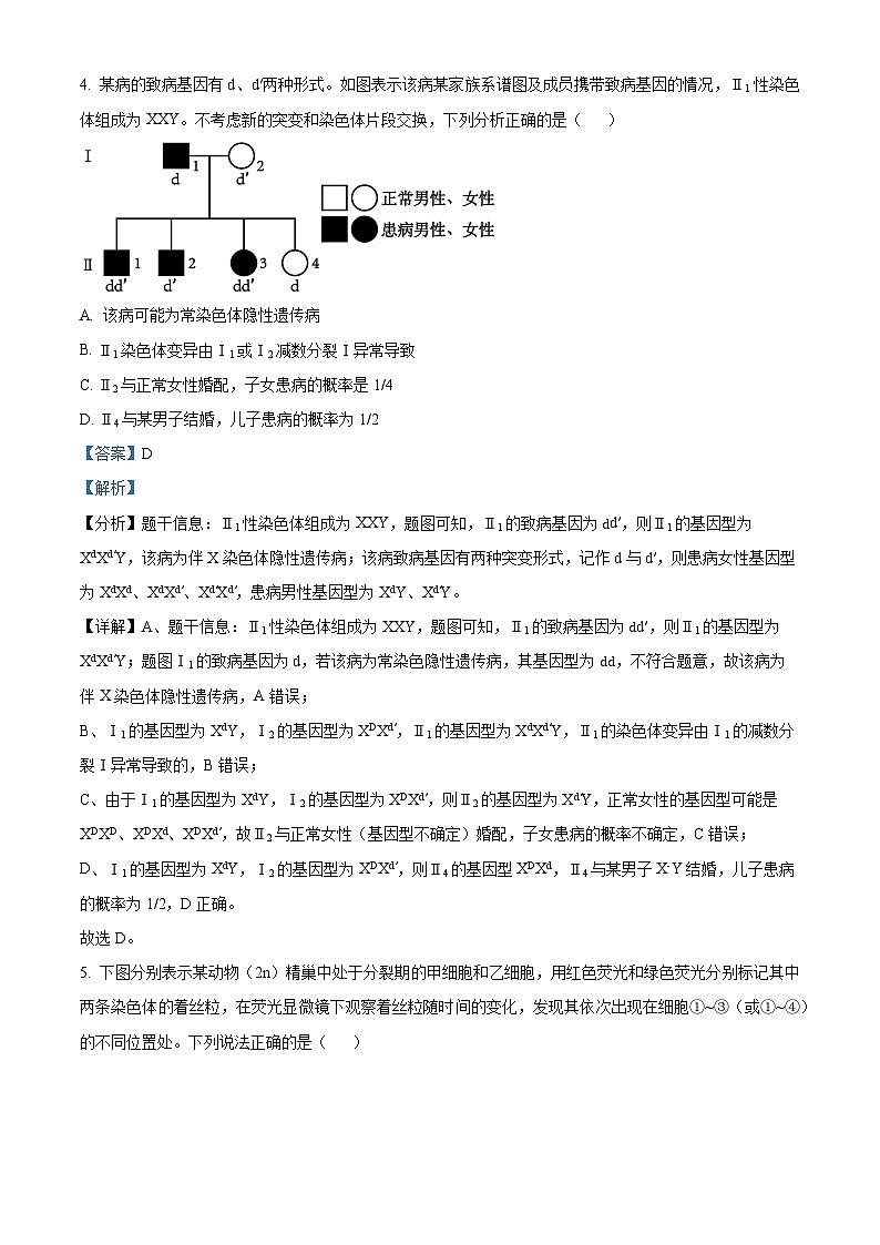 山东省菏泽市牡丹区菏泽外国语学校2023-2024学年高三下学期4月月考生物试题(解析版)第3页