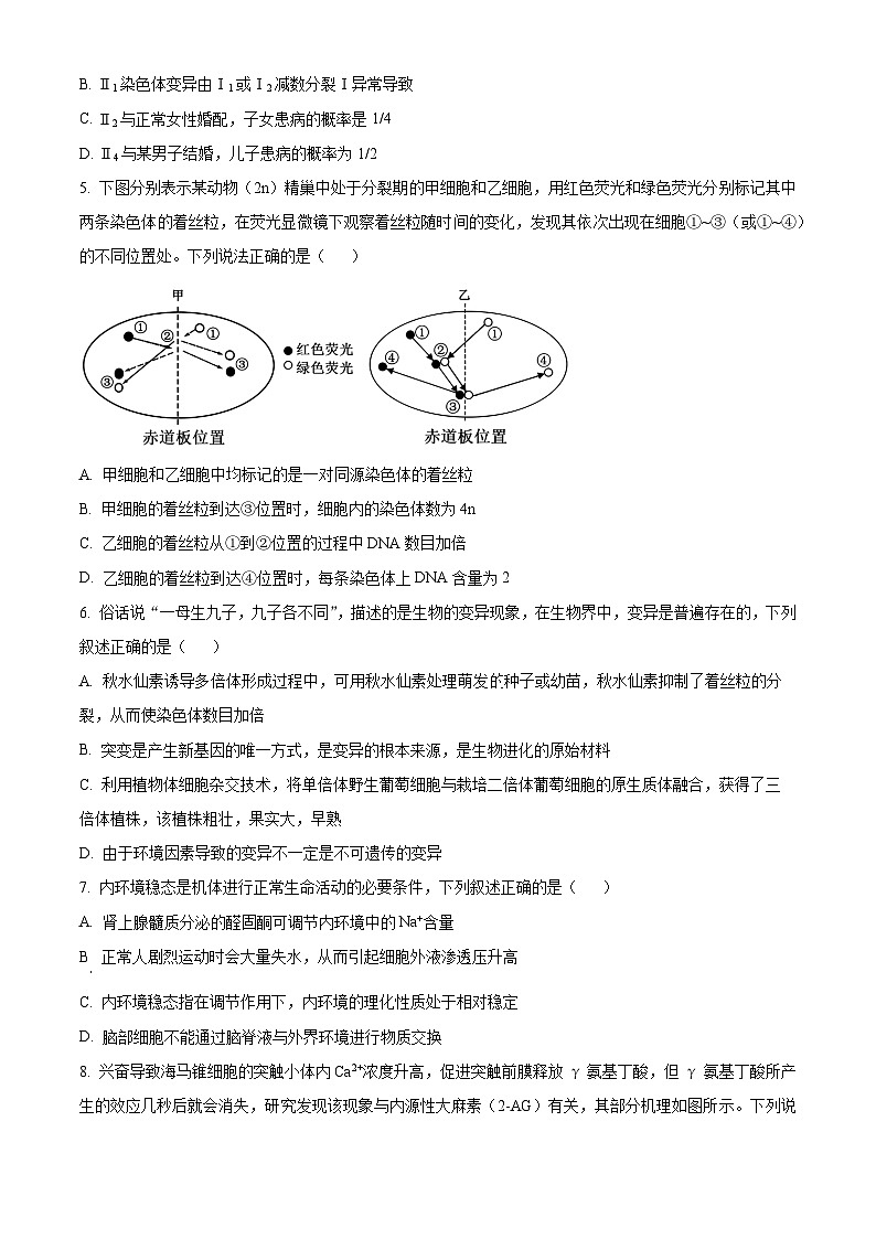 山东省菏泽市牡丹区菏泽外国语学校2023-2024学年高三下学期4月月考生物试题(原卷版)第2页