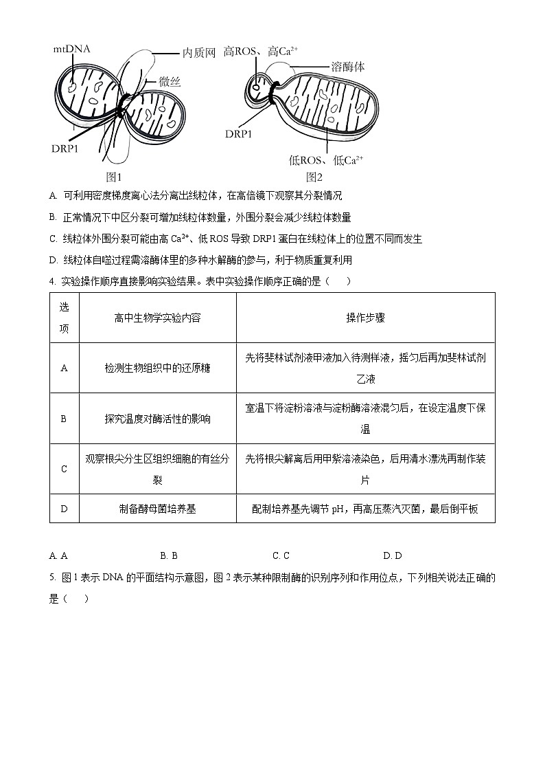 2024届江西省八所重点中学高三联考生物试题(原卷版)第2页