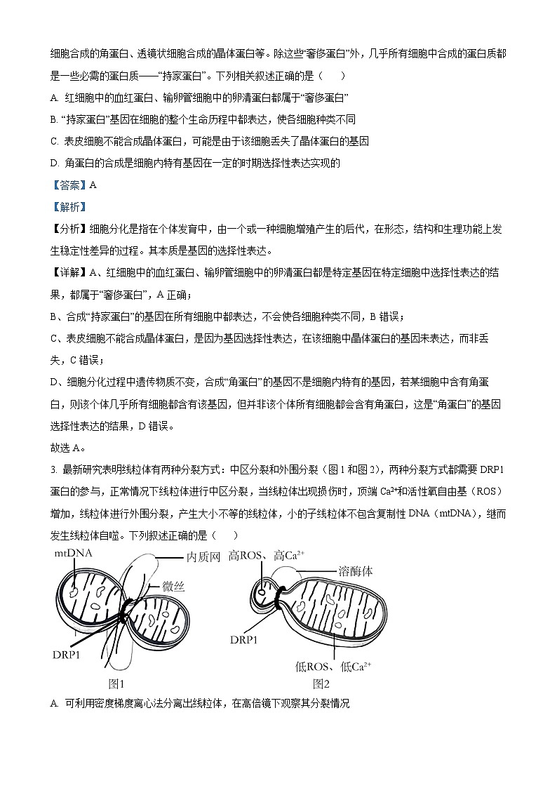 2024届江西省八所重点中学高三联考生物试题(解析版)第2页