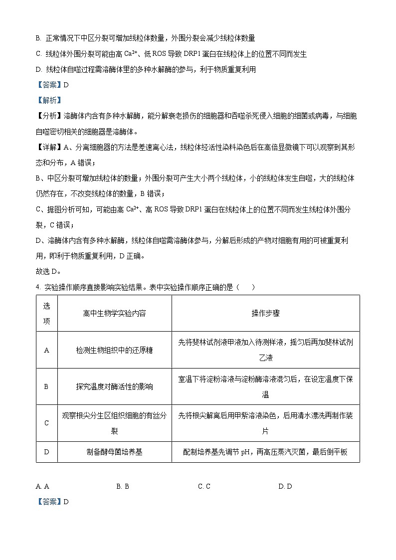 2024届江西省八所重点中学高三联考生物试题(解析版)第3页