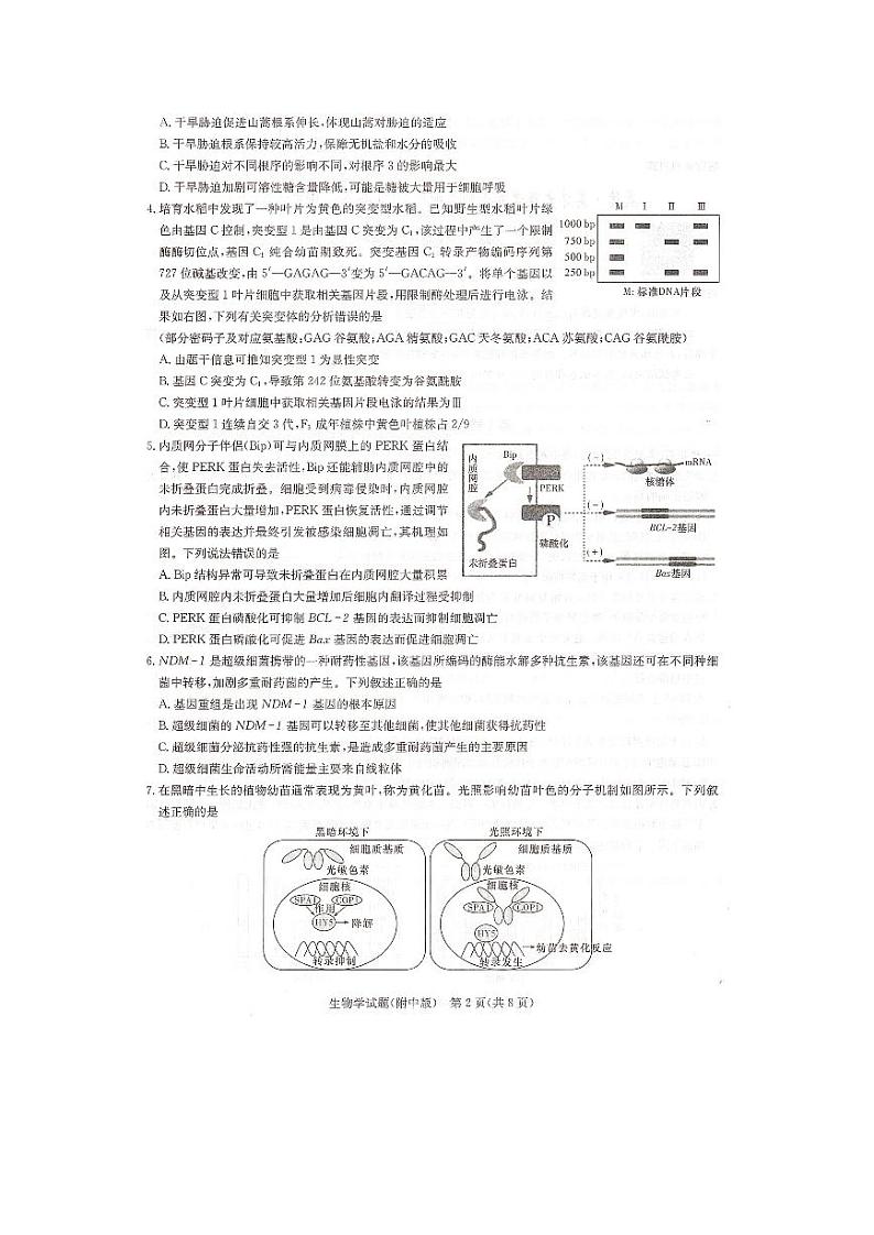 湖南师范大学附属中学2024届高三下学期月考(七)生物试卷(PDF版附解析)02