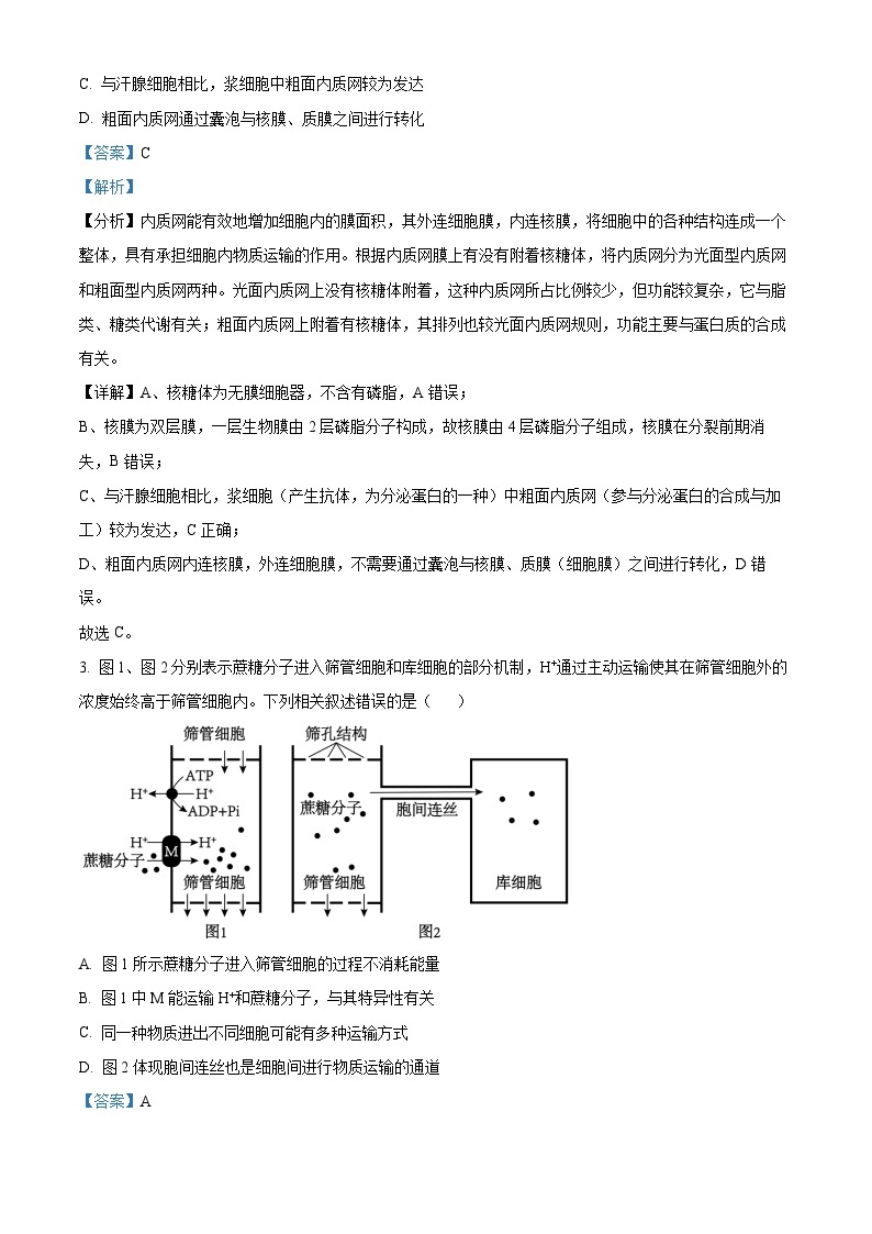 湖南省衡阳市2023-2024学年高三下学期二模生物试题含解析02