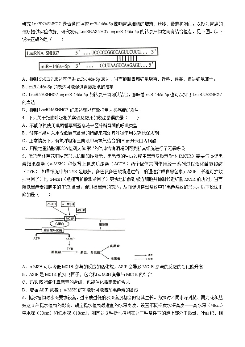 湖南省岳阳市2023-2024学年高三下学期二模生物试题含答案02