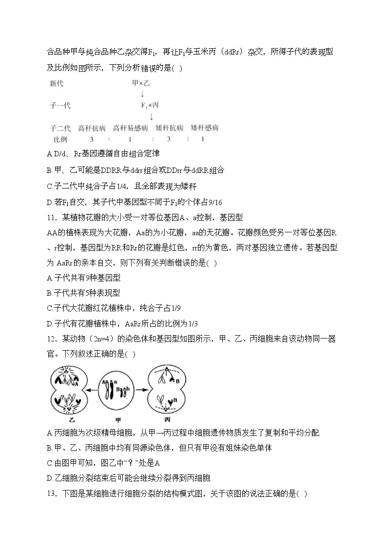 河南省开封市五县联考2023-2024学年高一下学期3月月考生物试卷(含答案)03